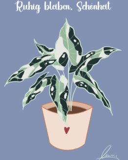 Postkarte Alocasia 3er Set
